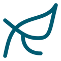 Acetyl L-Carnitine